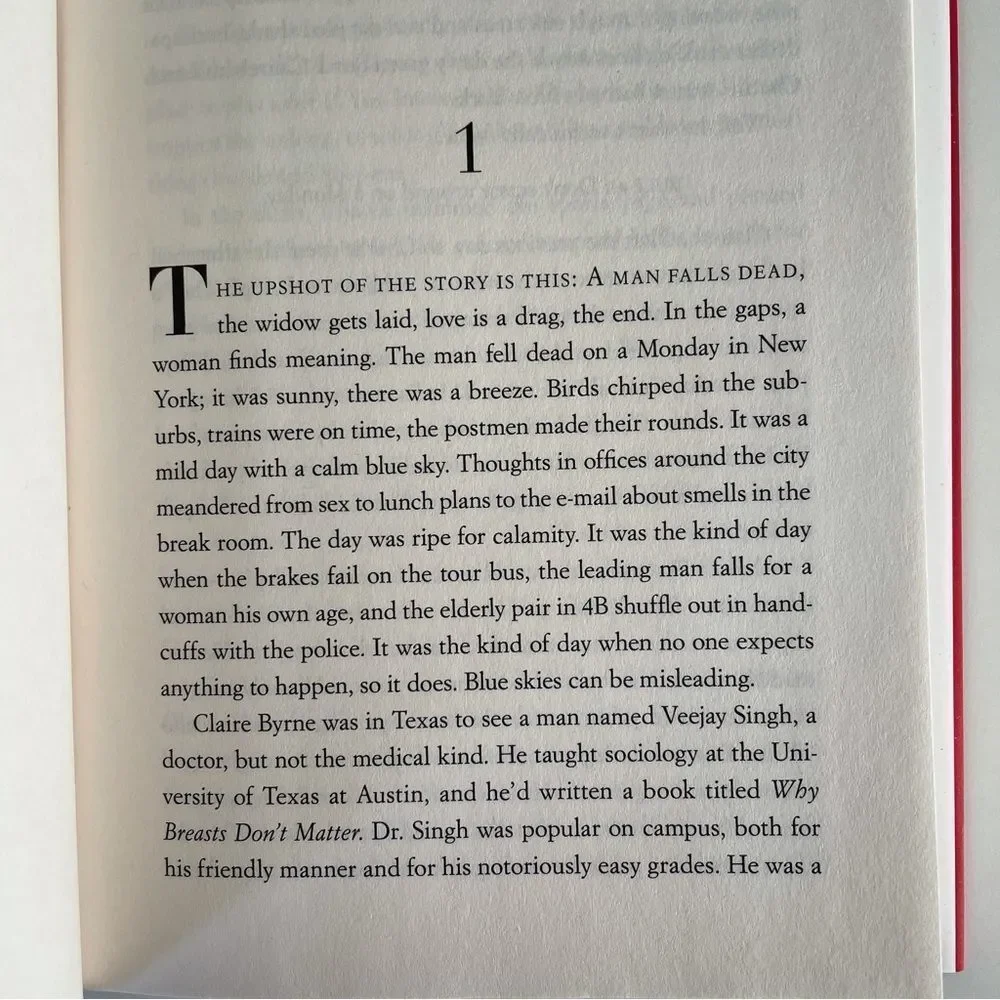 BOOK, The Widow’s Guide to Sex & Dating, a novel, 302 pages, Fiction, NOS - Picture 4 of 16